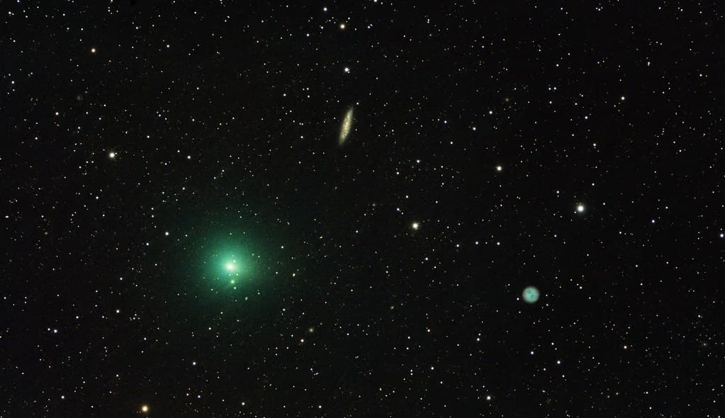 The Comet, the Surfboard and the Owl.