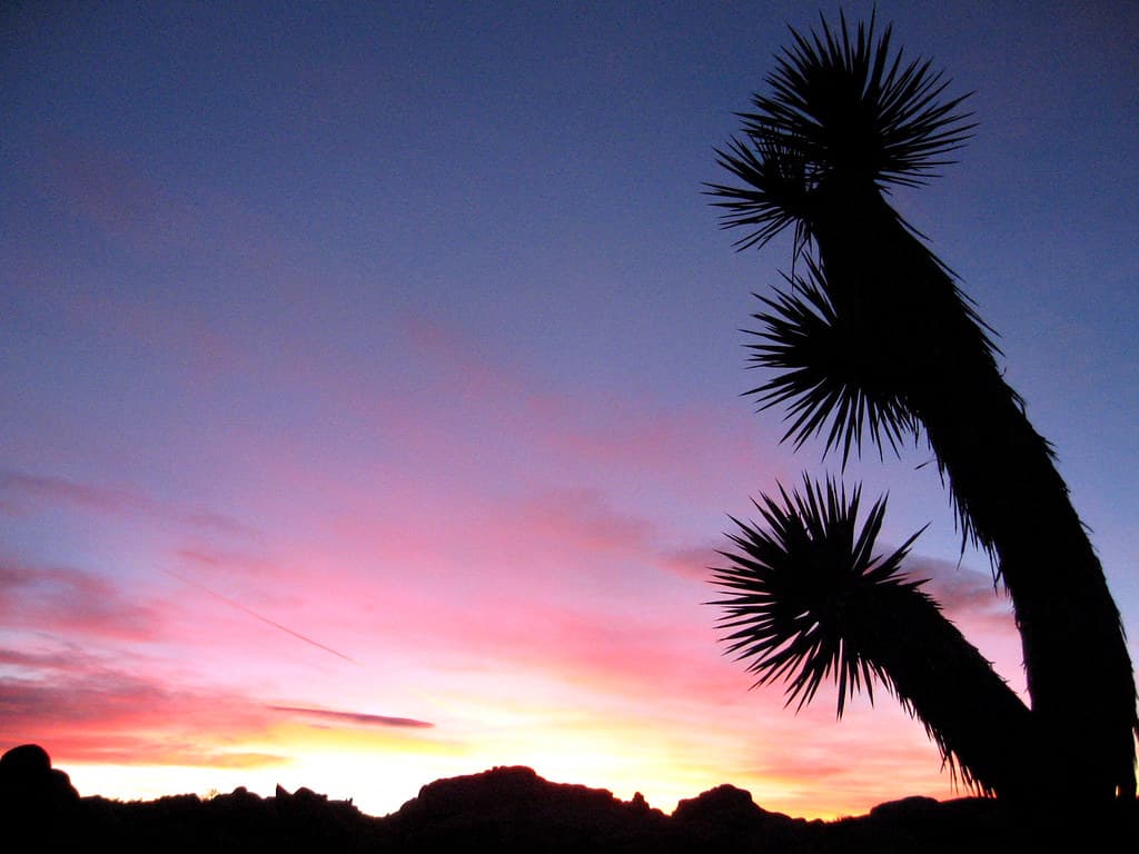 Sunset at Jumbo Rocks