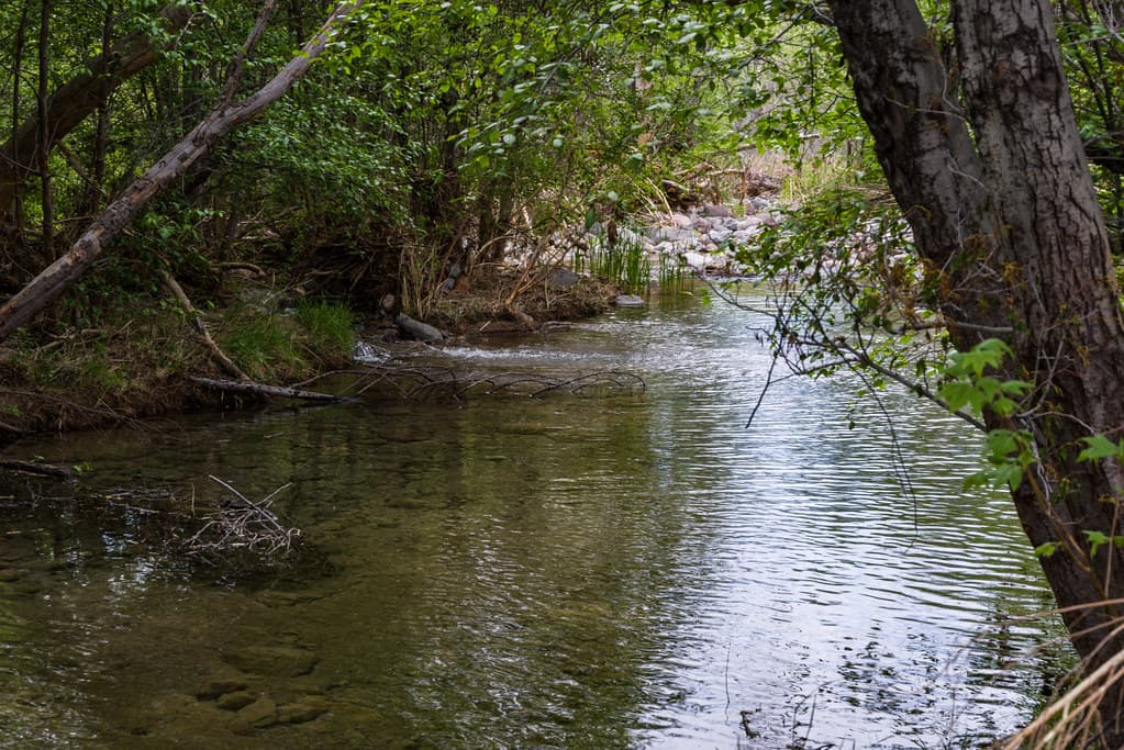 Purple Mountain on Fossil Creek