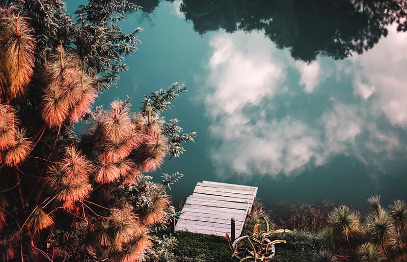 The River Reflecting the Clouds