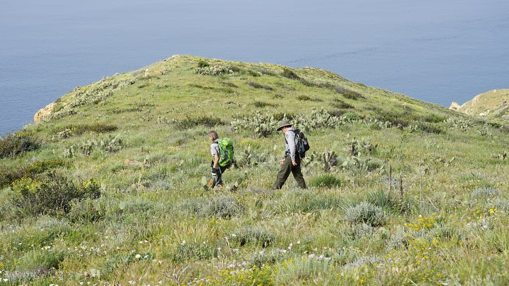 Native Plant Community Monitoring