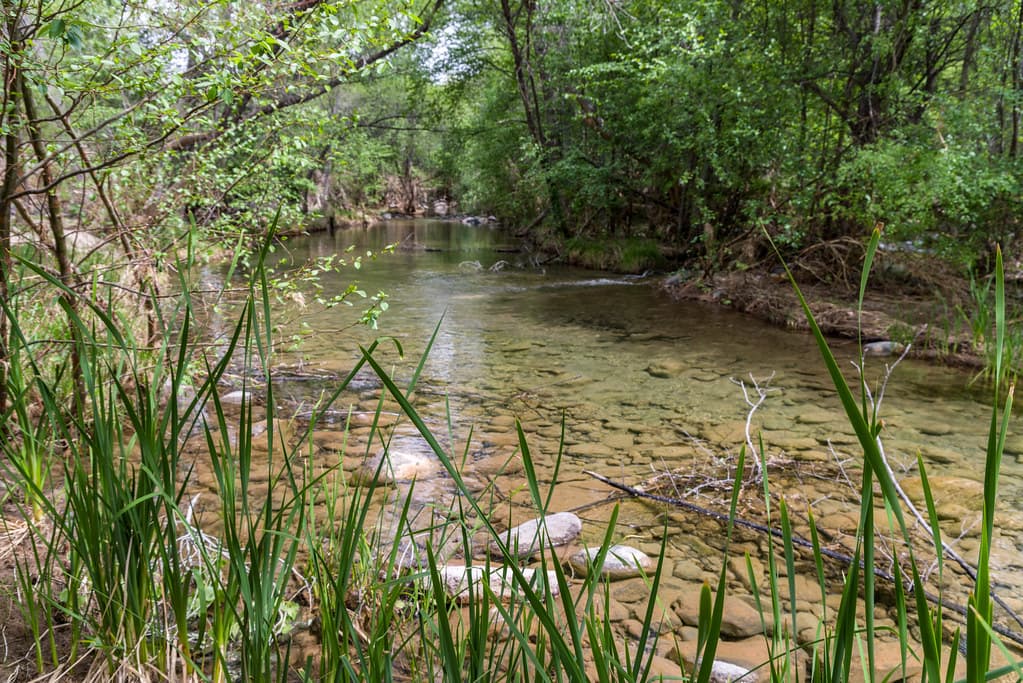 Purple Mountain on Fossil Creek