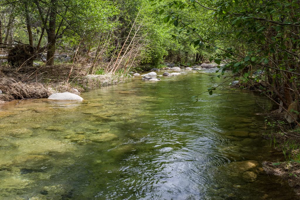 Purple Mountain on Fossil Creek
