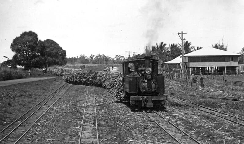 Sugar cane train, Kalamia, Ayr, c 1938