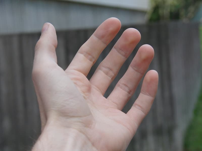 Hand