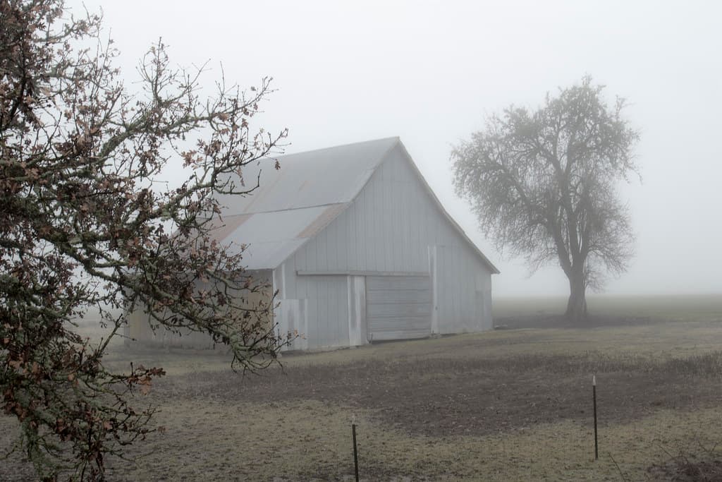 Old metal barn in heavy fog in Oregon
