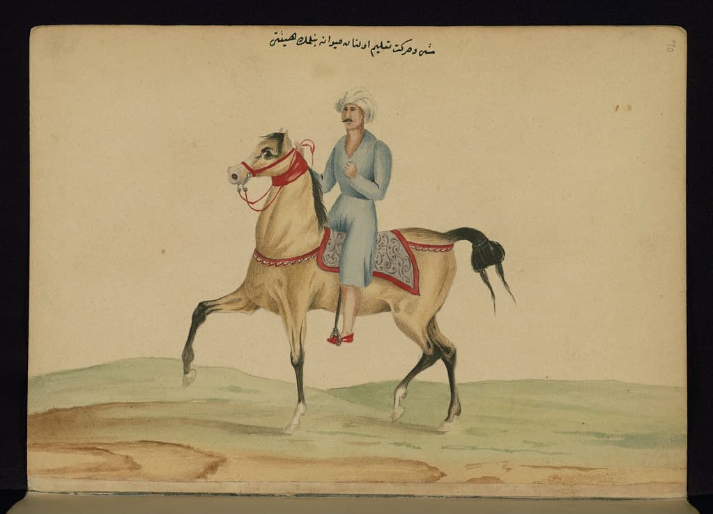 Book, codex, illustration
