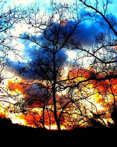 Winter Sky on a Bare Tree, A Time to Be Still.