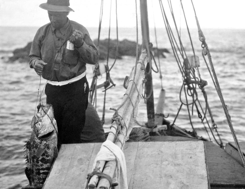 Archive, fishing, fishingtrip