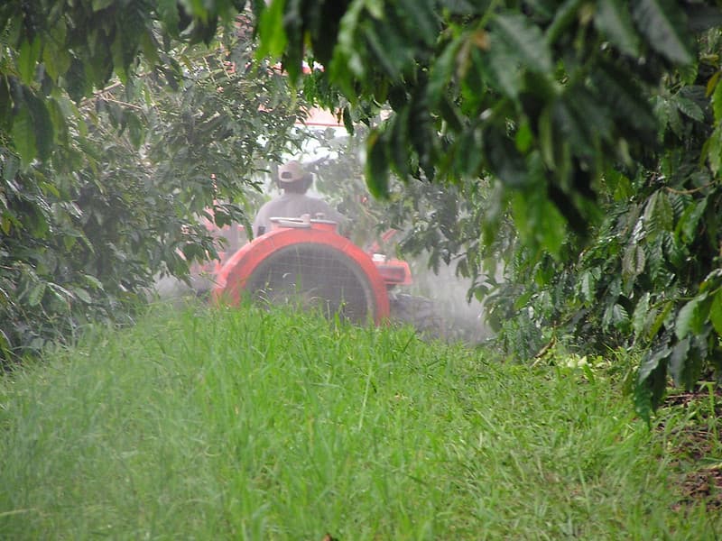 P7140104 mist blower Cercsopora coffee