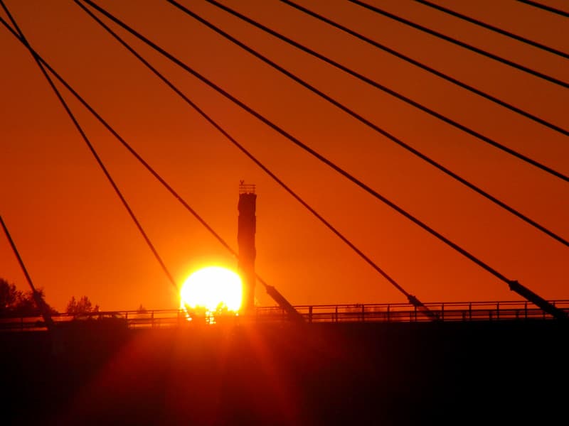 Sun sets in wires
