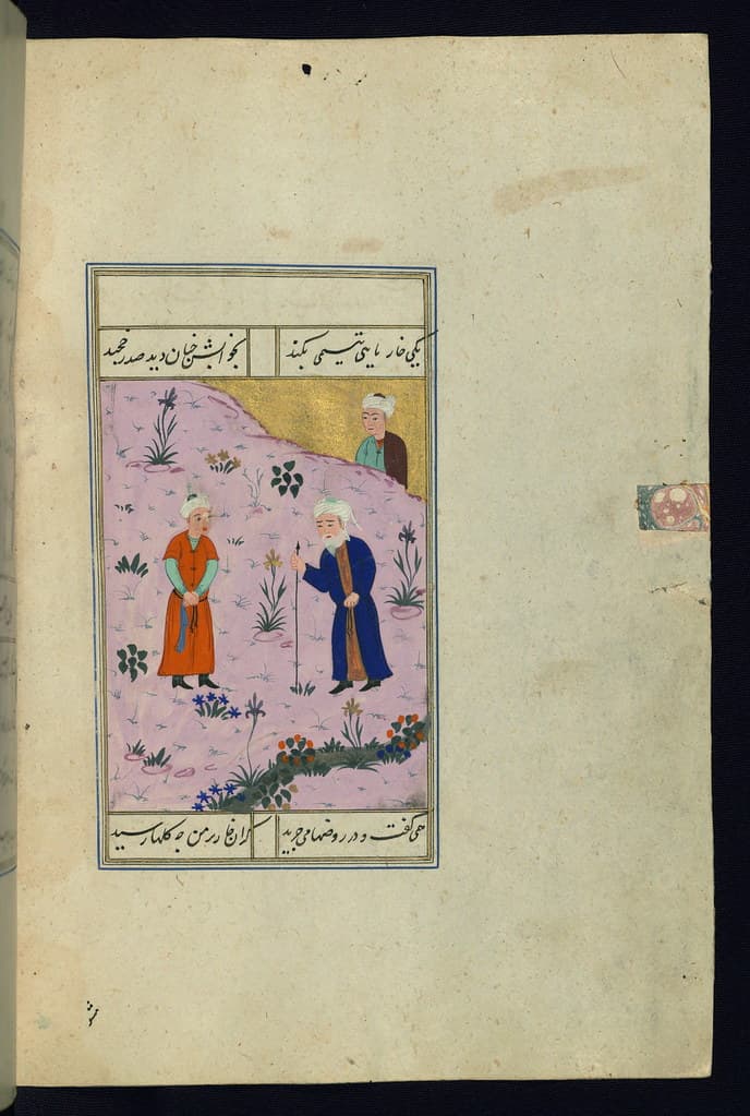 Book, calligraphy, codex