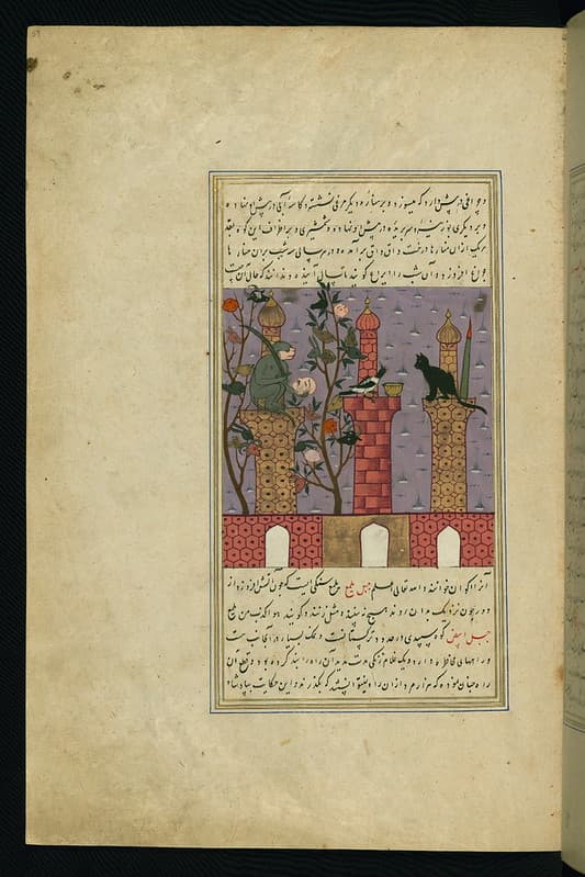 Book, codex, illumination