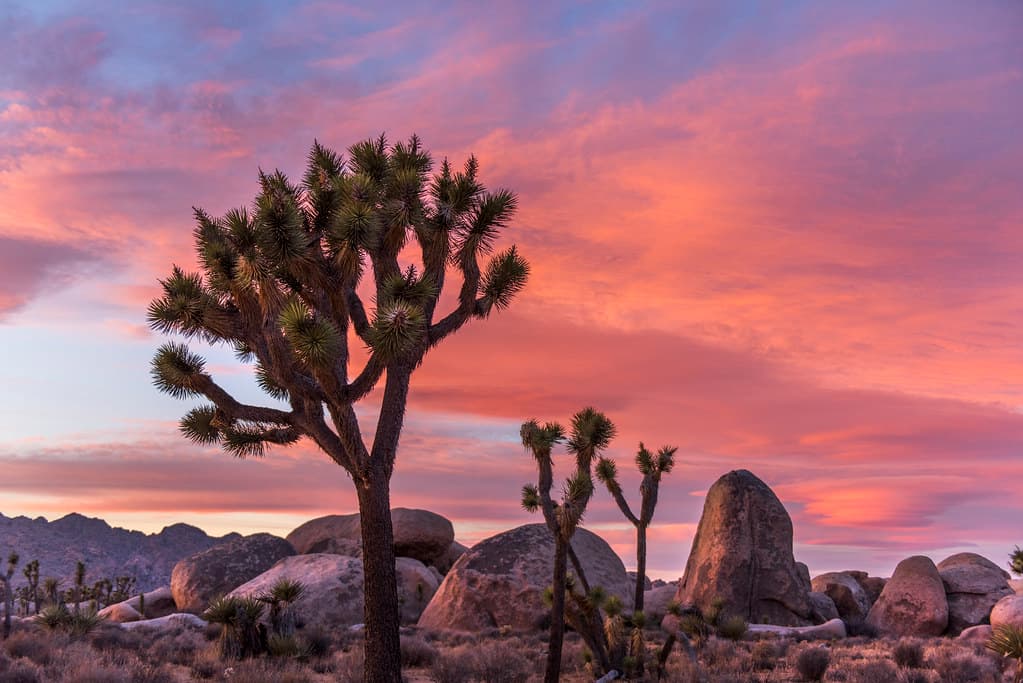 Sunset in Lost Horse Valley
