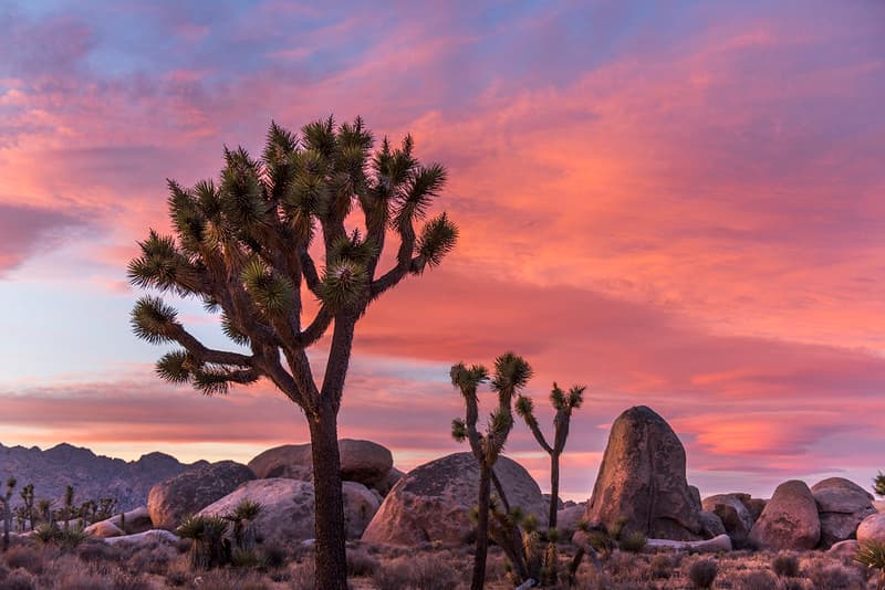 Sunset in Lost Horse Valley