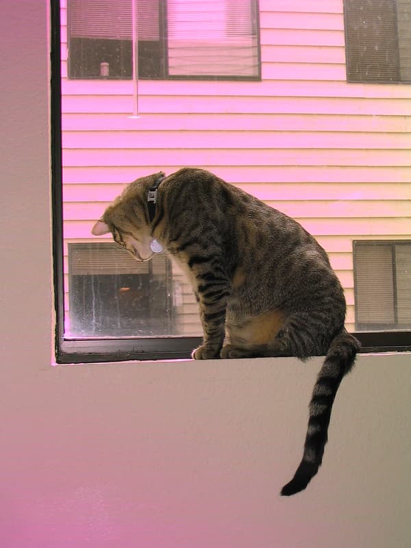 Radar sitting on windowsill 1