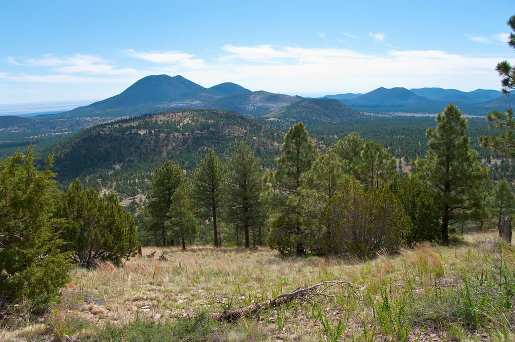 San Francisco Volcanic Field