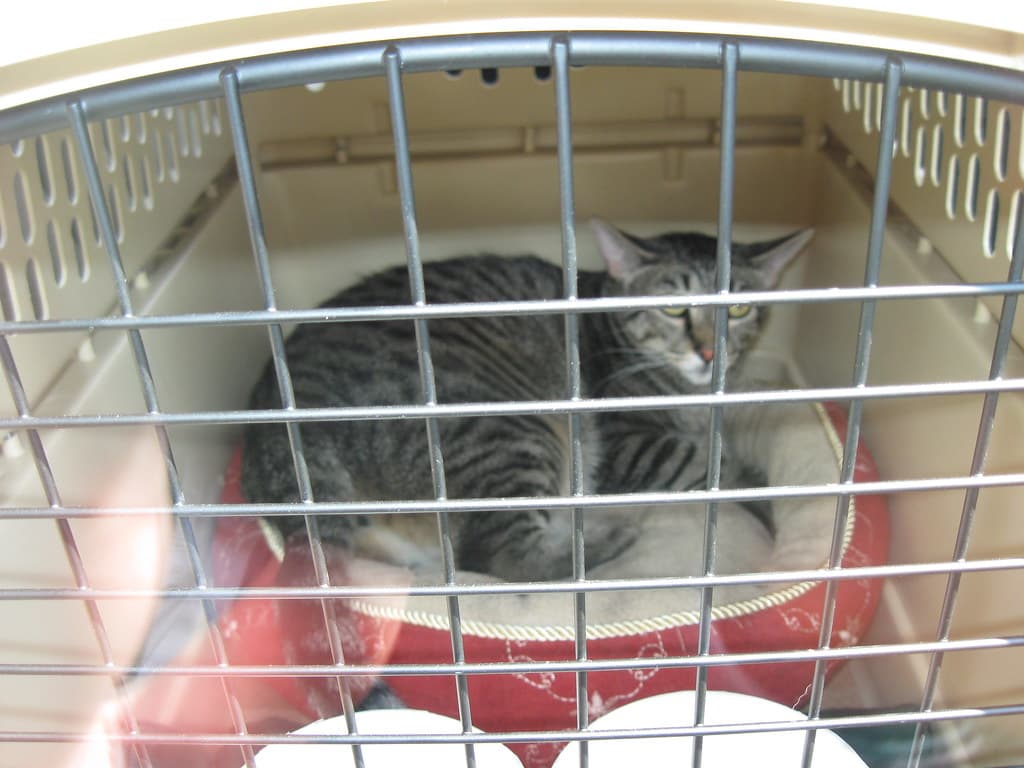 Radar in travelling container in my car