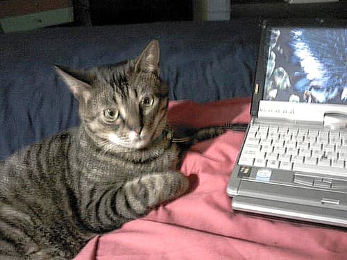 Sunday morning computer check
