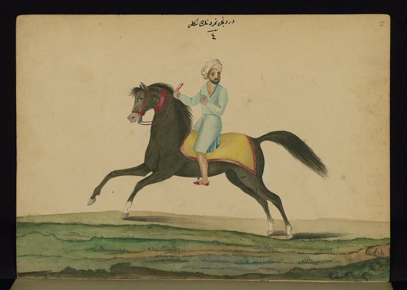 Book on horses, Riding a horse, Walters Art Museum Ms. W.661, fol. 94a