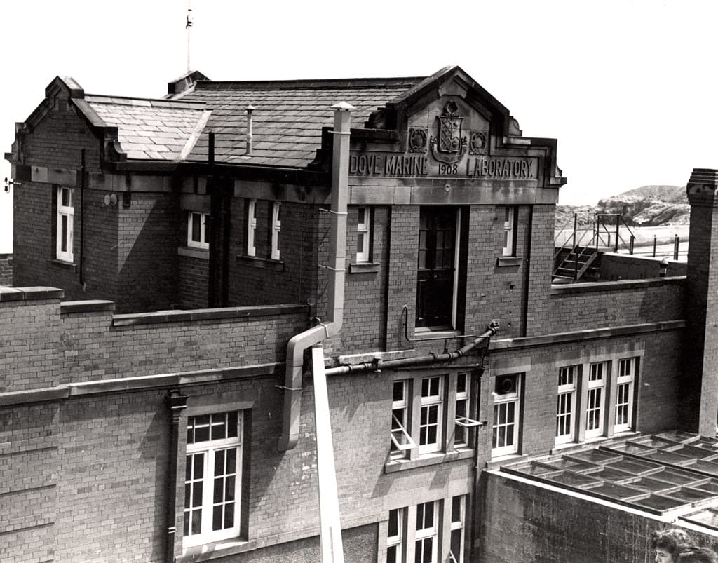 020203:Dove Marine Laboratory Cullercoats North Tyneside 1970