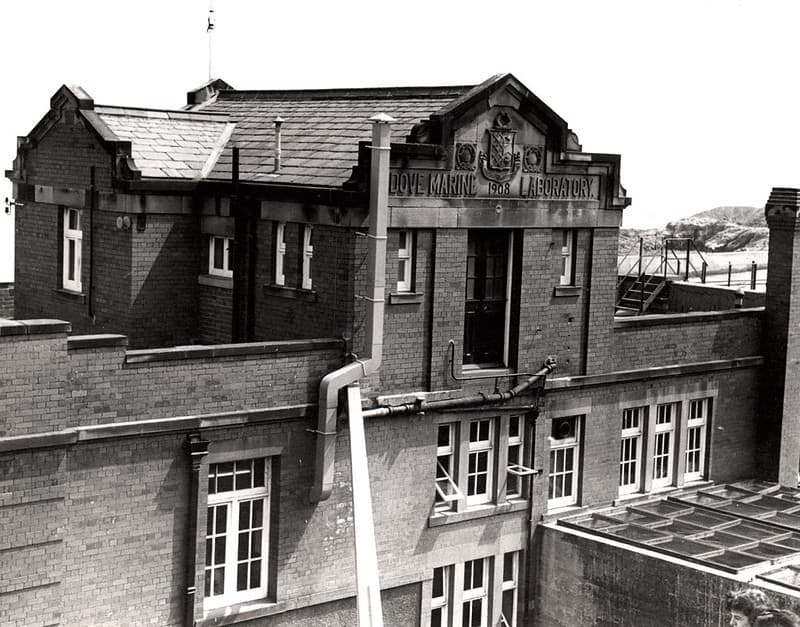 020203:Dove Marine Laboratory Cullercoats North Tyneside 1970