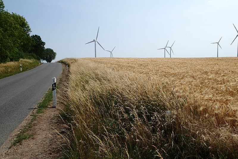 Rural road and wind turbines.