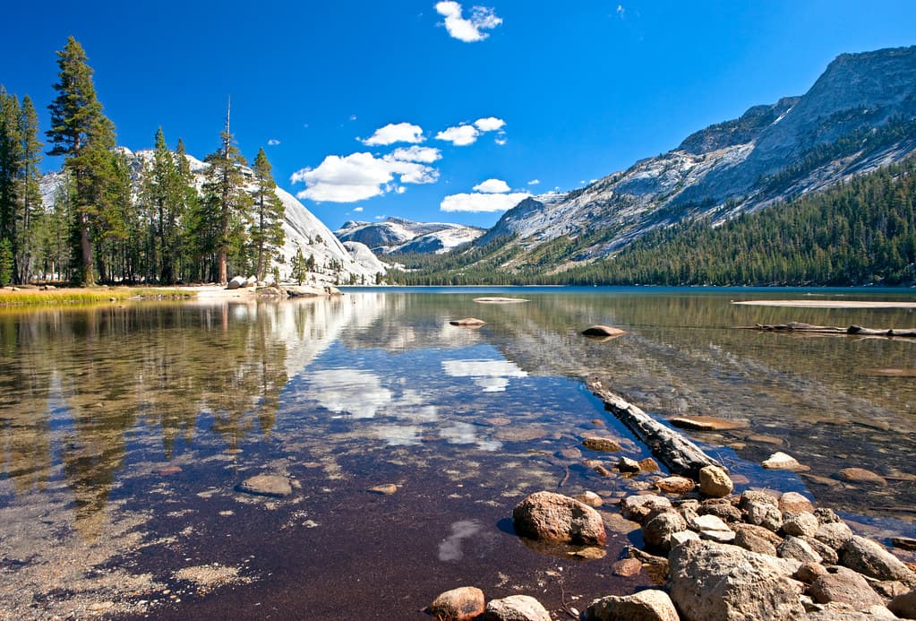 Tenaya Lake