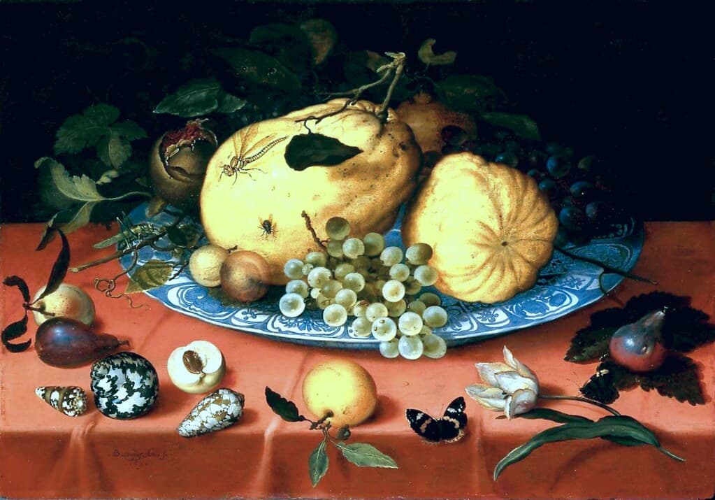 Fruit still life with shells and a tulip
