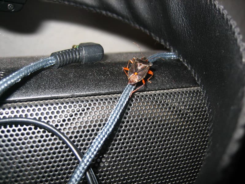 Climbing audio cable