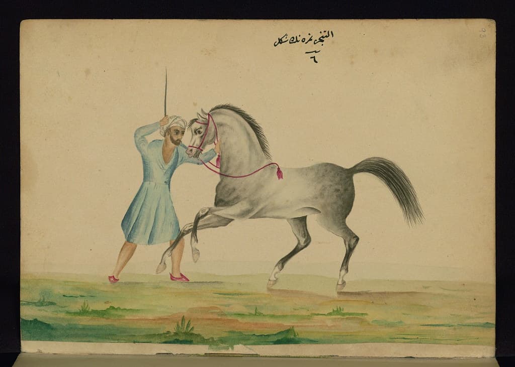 Book, codex, illustration