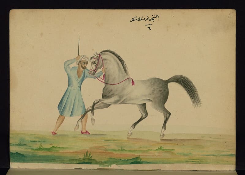 Book, codex, illustration