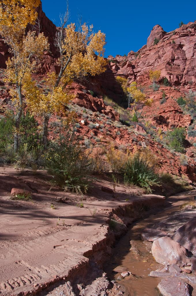Kitchen Canyon