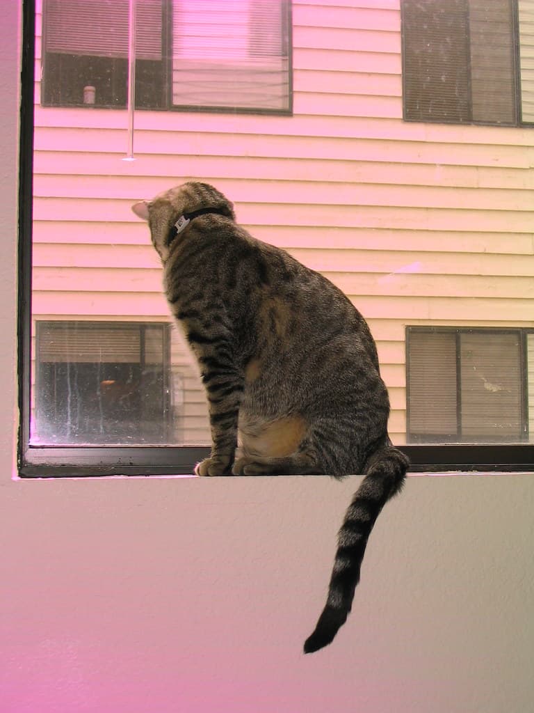 Radar sitting on windowsill 2