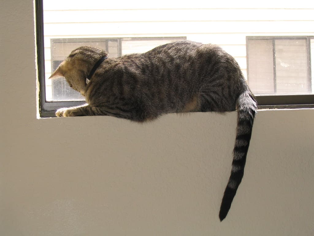 Radar lying on windowsill 6