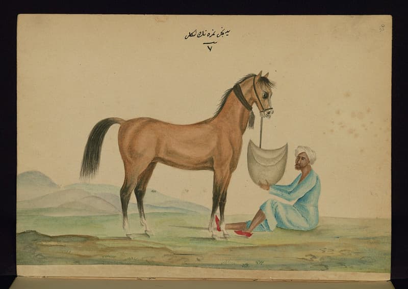 Book, codex, illustration