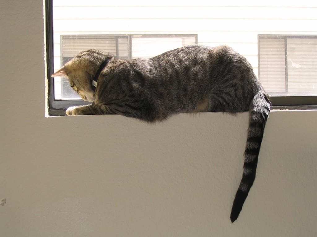 Radar lying on windowsill 7
