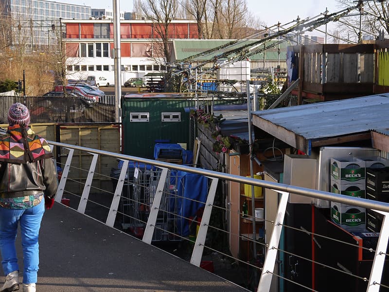Amsterdam, boom, canal