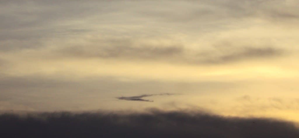 The cloud flock