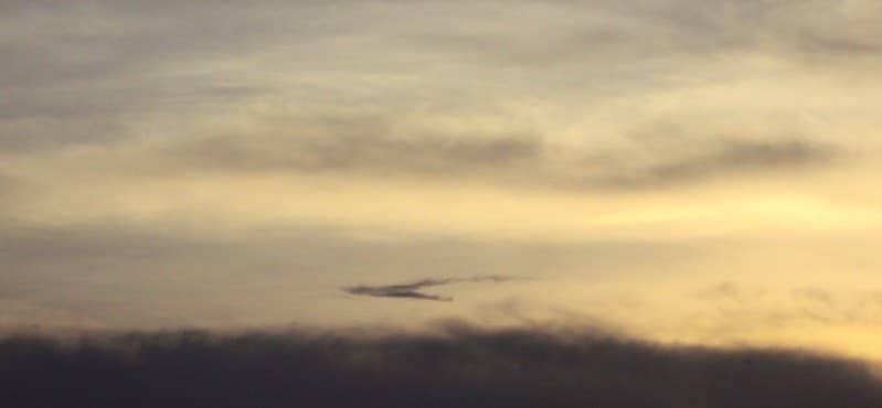 The cloud flock