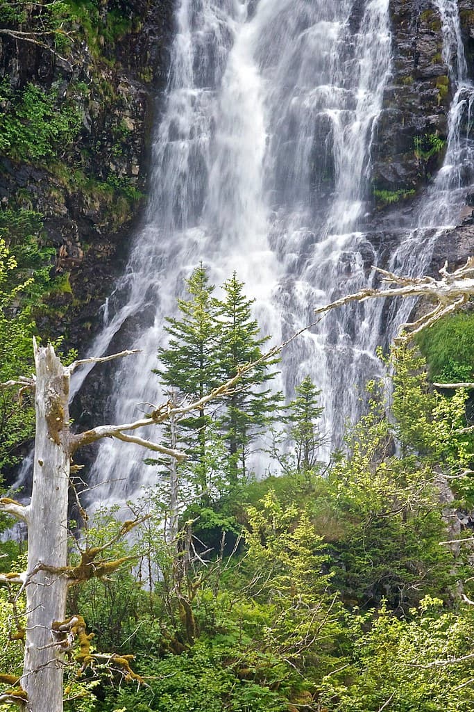 Close waterfall and snags KEFJ
