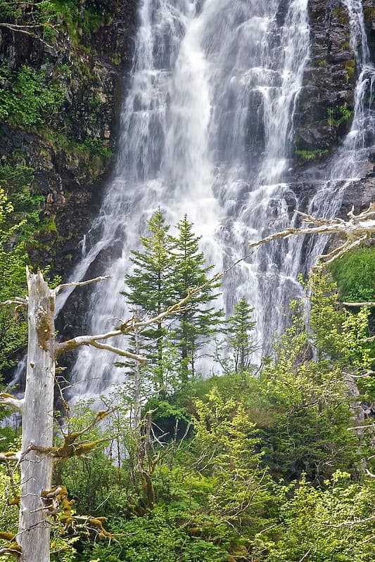 Close waterfall and snags KEFJ