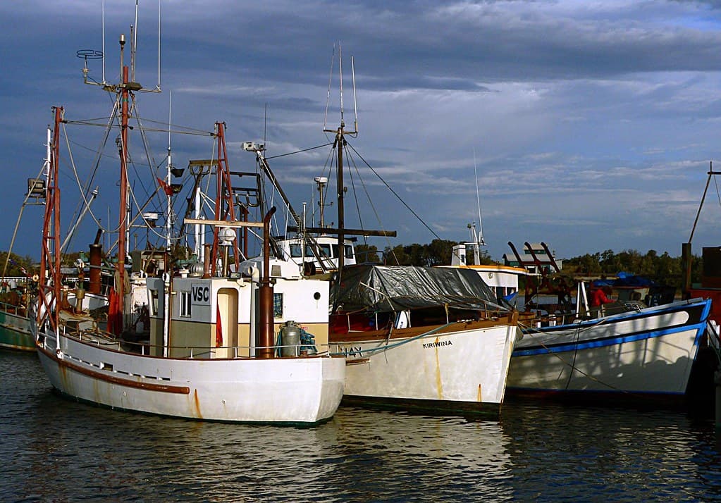Fishing boats Lakes Entrance Victoria.