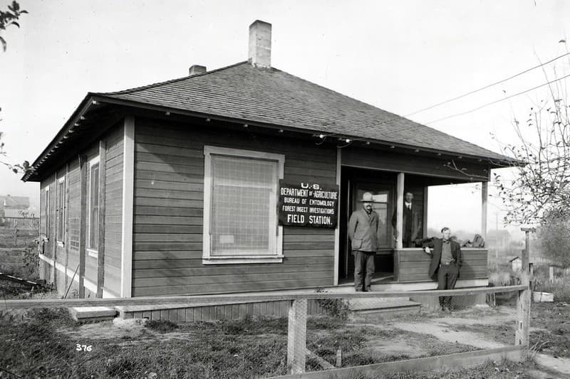 Ashland, bur, bureauofentomology