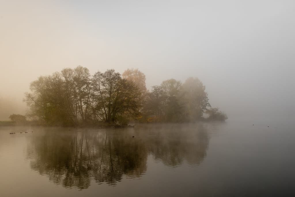 Foggy island