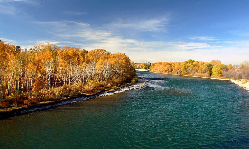 Bow River Calgary.