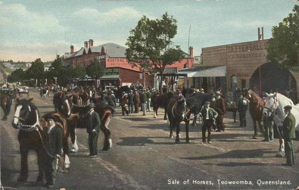 Horse Sales, Toowoomba - circa 1910