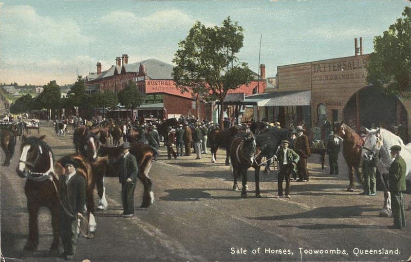 Horse Sales, Toowoomba - circa 1910