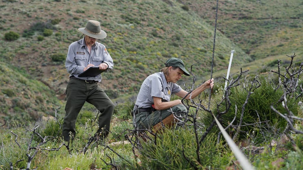 Native Plant Community Monitoring