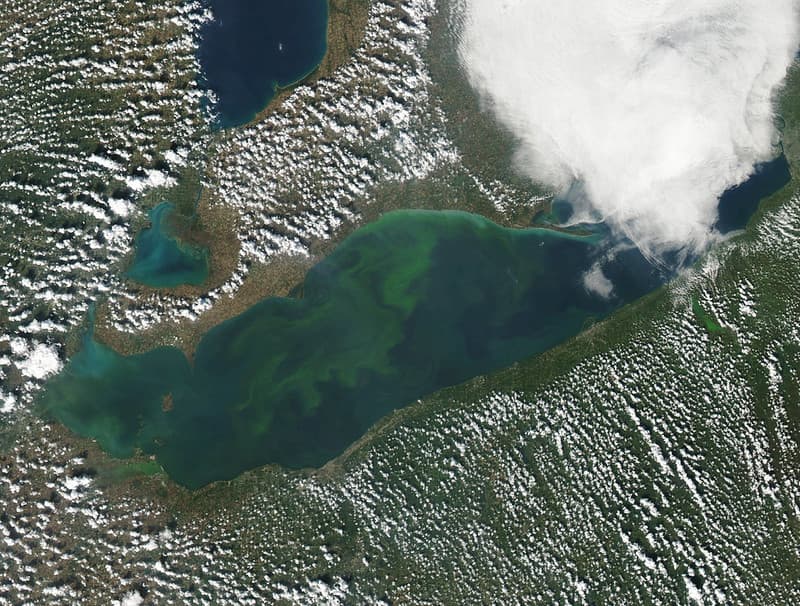 MODIS satellite image